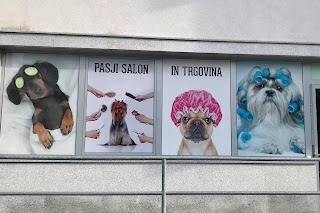 Pasji salon in trgovina BARK