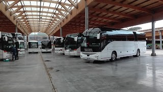 Trotta Bus Services S.p.A.