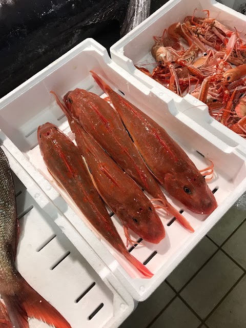 Pescheria del Golfo di De Santo Mauro