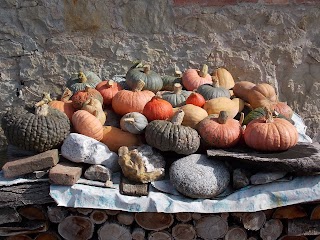 B&B Fontanini di Sopra