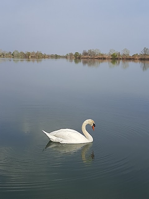 Vallette di Ostellato