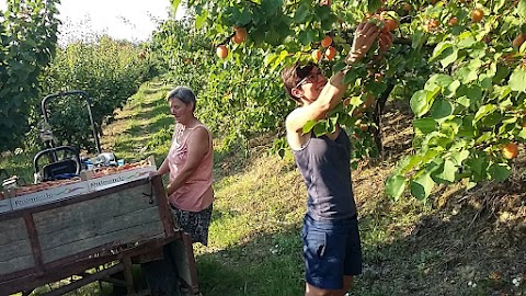 La Bottega di Marzen