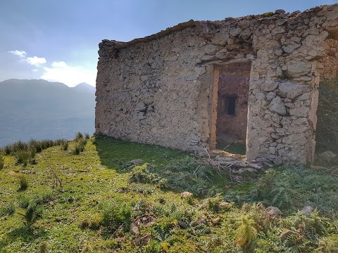 Bosco Di Casaboli