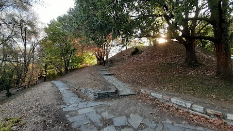 Laghetto del Parco Lambro