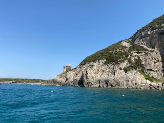 ESCURSIONI IN BARCA ALLE GROTTE DEL CIRCEO - PESCATURISMO "IL DELFINO"