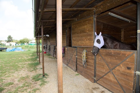 Passeggiate a Cavallo in provincia di Milano - Scuderia Esposito