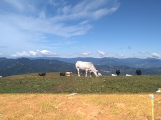 Passo del Crociglia