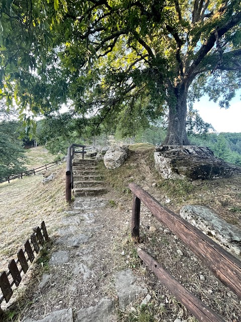 Rifugio Alpino Poggio di Petto - Pieragnoli