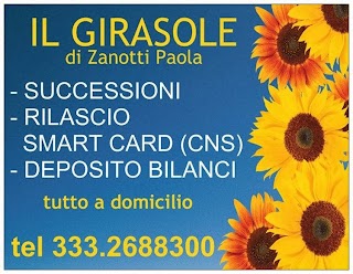 IL GIRASOLE DI ZANOTTI PAOLA