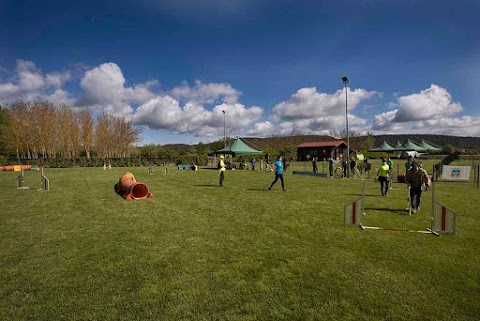 Cocca Pet Village - Centro Cinofilo Siena