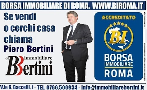 IMMOBILIARE BERTINI SRLS