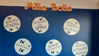 Mille Bolle Bruino