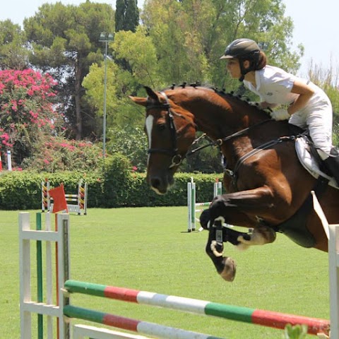 Scuola di equitazione Circolo ippico san bartolo