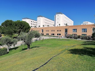 Università degli Studi "Gabriele d'Annunzio"