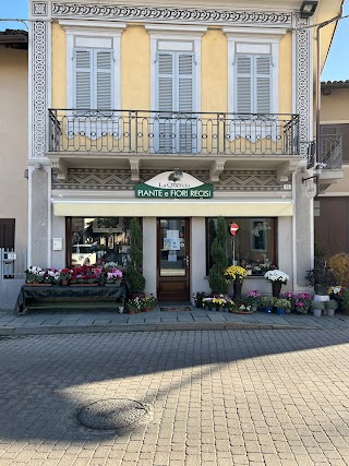 La Quercia piante e fiori recisi