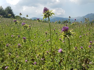 Agriturismo Fattorie Castelli