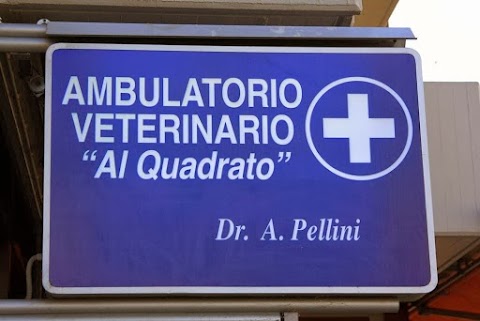 Ambulatori veterinari AL QUADRATO