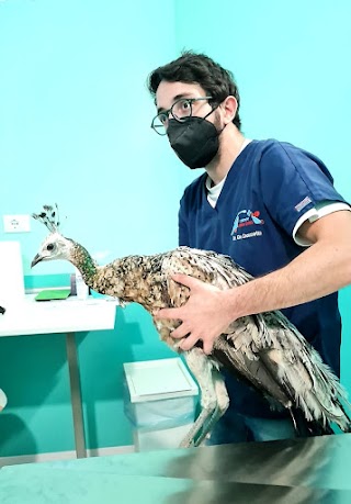 Clinica Veterinaria ANIMAL CARE Dott.ssa Serena Aquilio