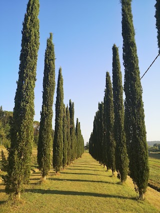 Agriturismo Podere Chiasso Gherardo