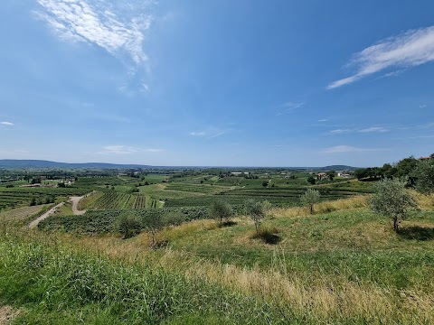 Sentiero delle Vigne Alte