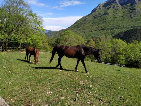 Scuderia Castello Srl Società Agricola