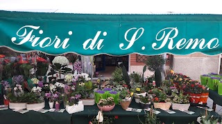 I Fiori Di Sanremo