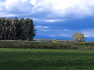 RHO AZIENDA AGRICOLA "Spaccio carni"