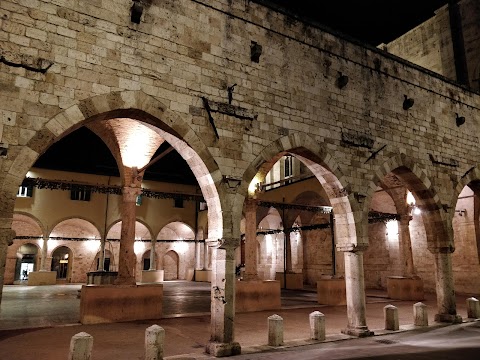 Teatro Ventidio Basso