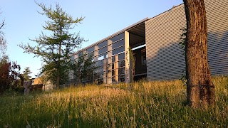 Università degli Studi di Trieste