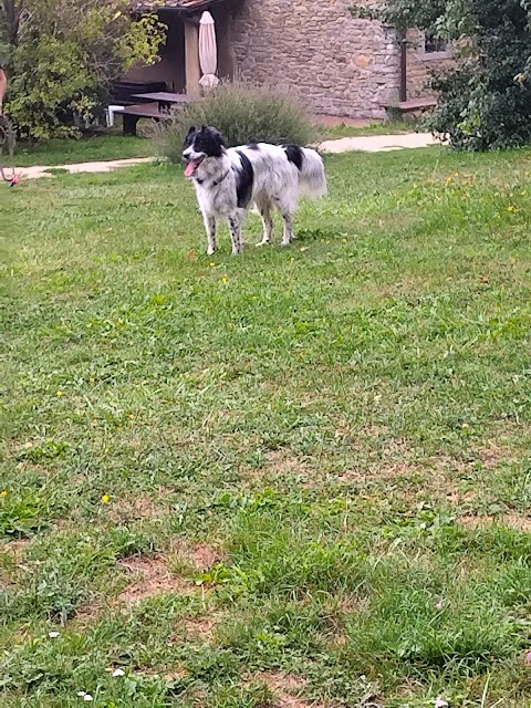 Borgo di Serignana