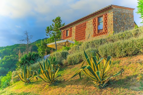 Tenuta San Pietro