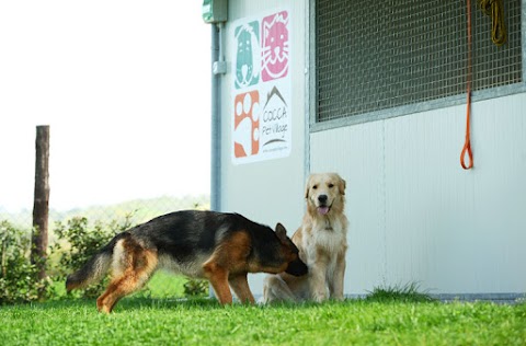 Cocca Pet Village - Centro Cinofilo Siena