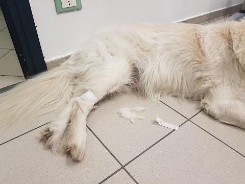 AniCura Ospedale Veterinario I Portoni Rossi