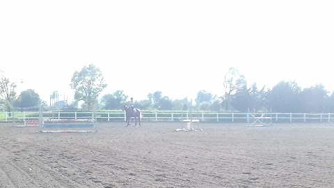 Bologna equestrian center