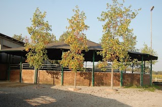 Arabian Training Centre