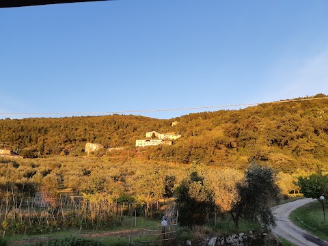 PALAIA - AGRITURISMO