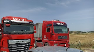 Nesta Autotrasporti Srl