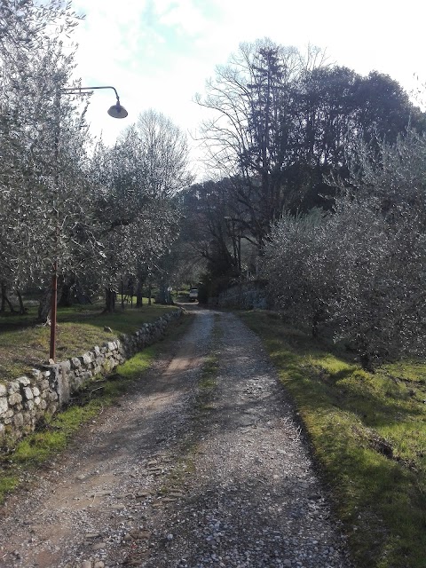 FATTORIA DI CATICCIANO