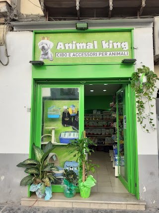 Animal King Napoli