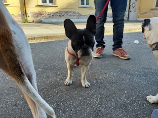 Ambulatorio Veterinario Dottoressa Susanna Faccenda