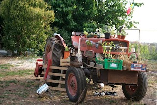 Cooperativa Sociale Agricola G. Garibaldi