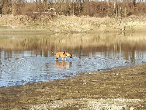 parco Ansa Del Brenta