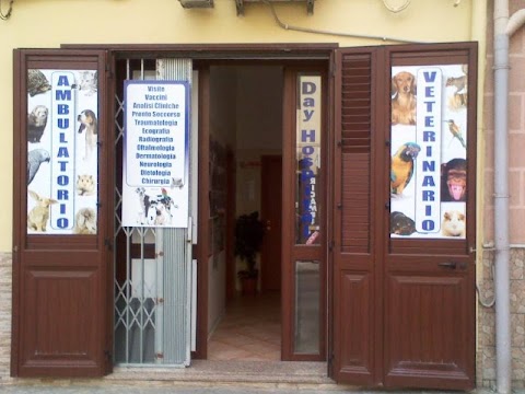 Ambulatorio Veterinario Dott.ssa Miceli