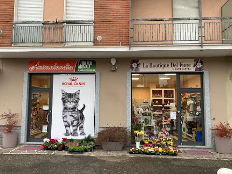 La Boutique Del Fiore Di Zanelli Ilaria