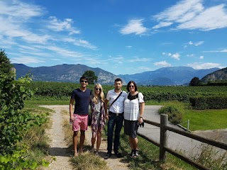 Franciacorta Tour