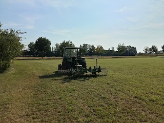 Azienda AGRICOLA Marchetti Mario