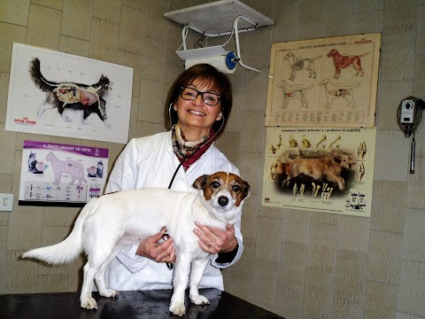 Clinica Veterinaria San Francesco - Reparto Piccoli Animali