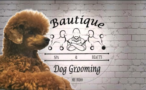 Bautique Grooming & Spa (ex Zoolandia) toelettatura cani