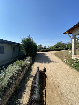 Centro Equestre Villa Mary