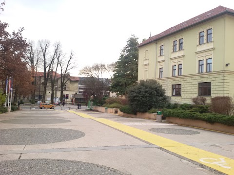 University Medical Center Ljubljana